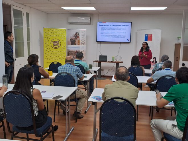 SernamEG Tarapacá hizo una ponencia sobre perspectiva de género, roles y estereotipos a funcionarios/as de Sernageomin