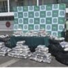 CARABINEROS INCAUTÓ MÁS DE 440 MIL DOSIS DE MARIHUANA