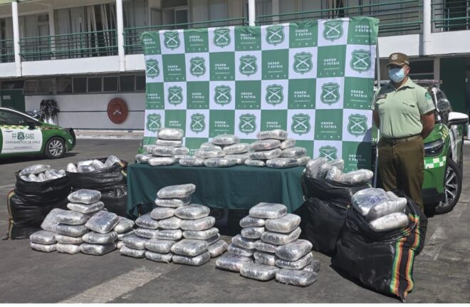 CARABINEROS INCAUTÓ MÁS DE 440 MIL DOSIS DE MARIHUANA