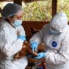 SAG logra en tiempo récord la reapertura de los principales mercados deproductos avícolas tras foco de influenza aviar