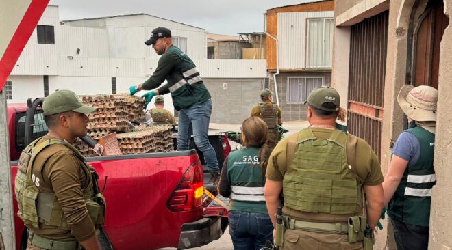 SAG Tarapacá desbarata centro de acopio de productos agropecuarios de ingreso clandestino en Alto Hospicio agropecuarios de ingreso clandestino en Alto Hospicio