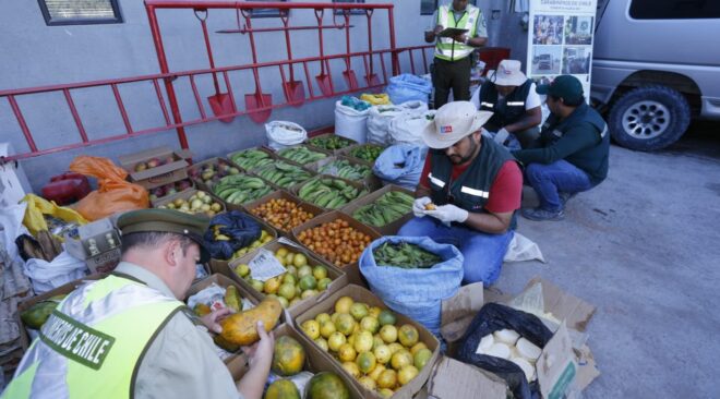 SAG Tarapacá: cerca de 10 toneladas de productos clandestinos fueron decomisadas durante el primer trimestre de 2026