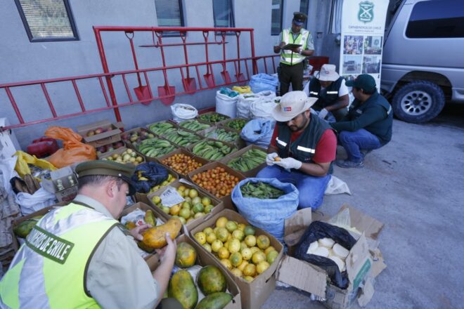 SAG Tarapacá: cerca de 10 toneladas de productos clandestinos fueron decomisadas durante el primer trimestre de 2026
