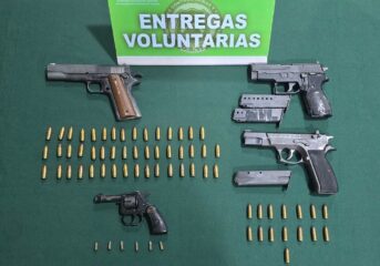 Entrega tu arma de manera voluntaria y anónima