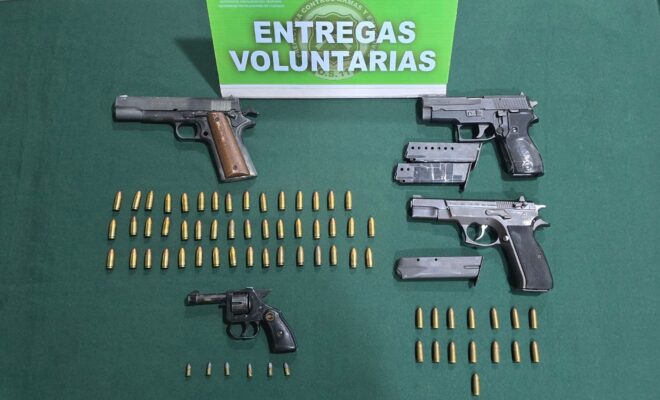 Entrega tu arma de manera voluntaria y anónima