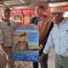 SAG Tarapacá refuerza trabajo preventivo con tenedores de équidos de Alto Hospiciotenedores de équidos de Alto Hospicio