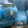 Carabineros detiene a conductor que transportaba cargamento de huevos, cigarrillos y queso ingresados de contrabando