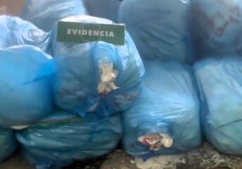 Carabineros detiene a conductor que transportaba cargamento de huevos, cigarrillos y queso ingresados de contrabando